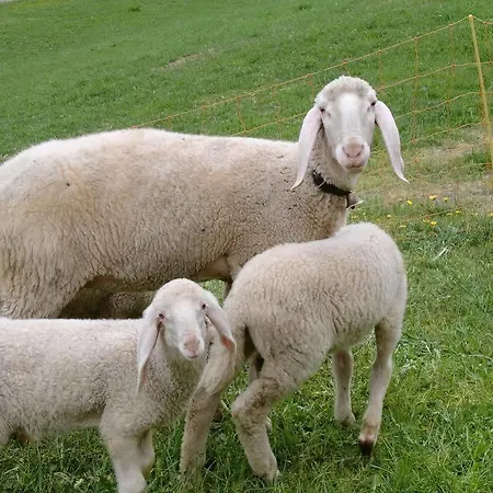 Pensjonat Felsenstueberl 3*