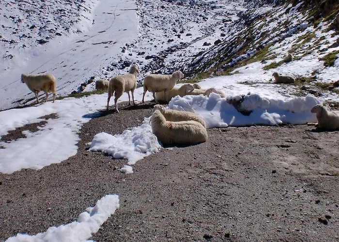 Felsenstueberl Penzion 3*