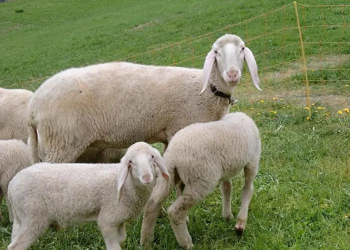 Penzion Felsenstueberl 3*