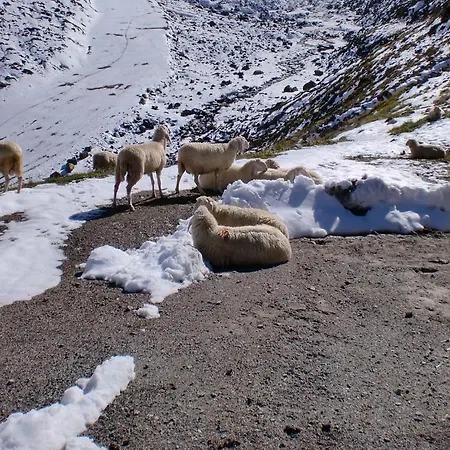 Felsenstueberl Gæstehus 3*