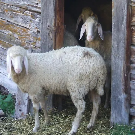Felsenstueberl Sölden